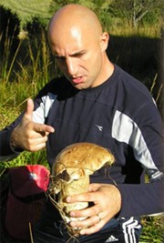 Dejan Radić - Cateia Games Dejan Radić