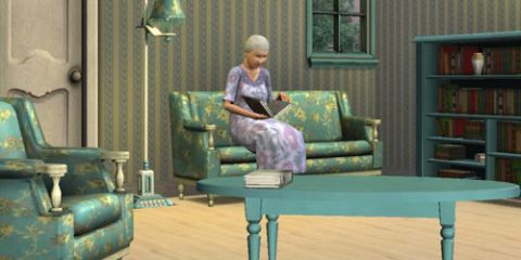 The Sims 3