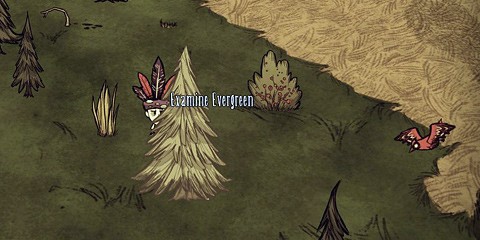 Don't Starve screenshots