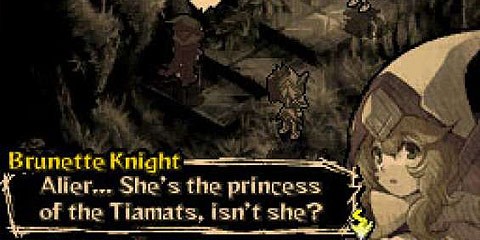 Knights in the Nightmare Nintendo DS