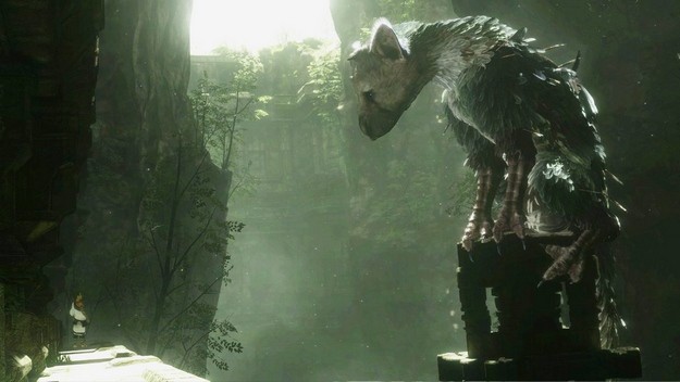 trico-ft