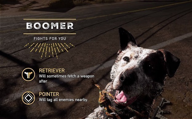 boomer fc5