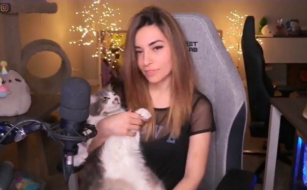 Slike jebenih maca