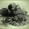 Profilna slika od UNDERWORLDCRO